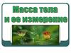 Масса тела и ее измерение