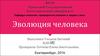 Эволюция человека