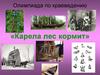 Олимпиада по краеведению «Карела лес кормит»