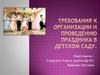Требования к организации и проведению праздника в детском саду