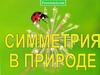 Симметрия в природе