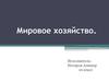 Мировое хозяйство. (10 класс)