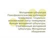 Молодежная субкультура. Психофизиологические особенности тинейджеров.  Социально-экономический статус тинейджеров
