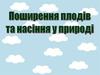 Поширення плодів та насіння у природі