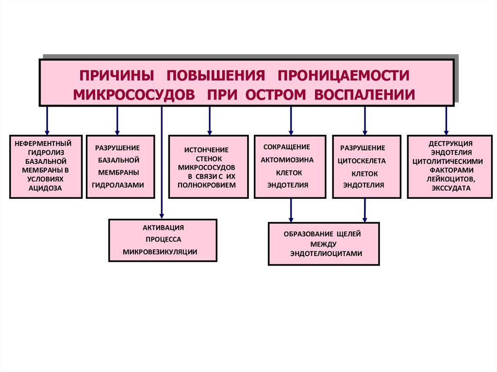 Причины повышения проницаемости сосудистой стенки. Факторы повышения проницаемости микрососудов при воспалении. Механизмы повышения проницаемости сосудов при воспалении. Механизмы повышения проницаемости микрососудов при воспалении.