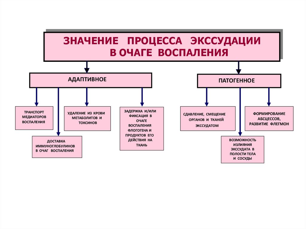 Значащий процесс. Схема развития сосудистой реакции в очаге воспаления. Воспаление патофизиология экссудация. Механизм развития экссудации при воспалении. Механизмы экссудации патофизиология.