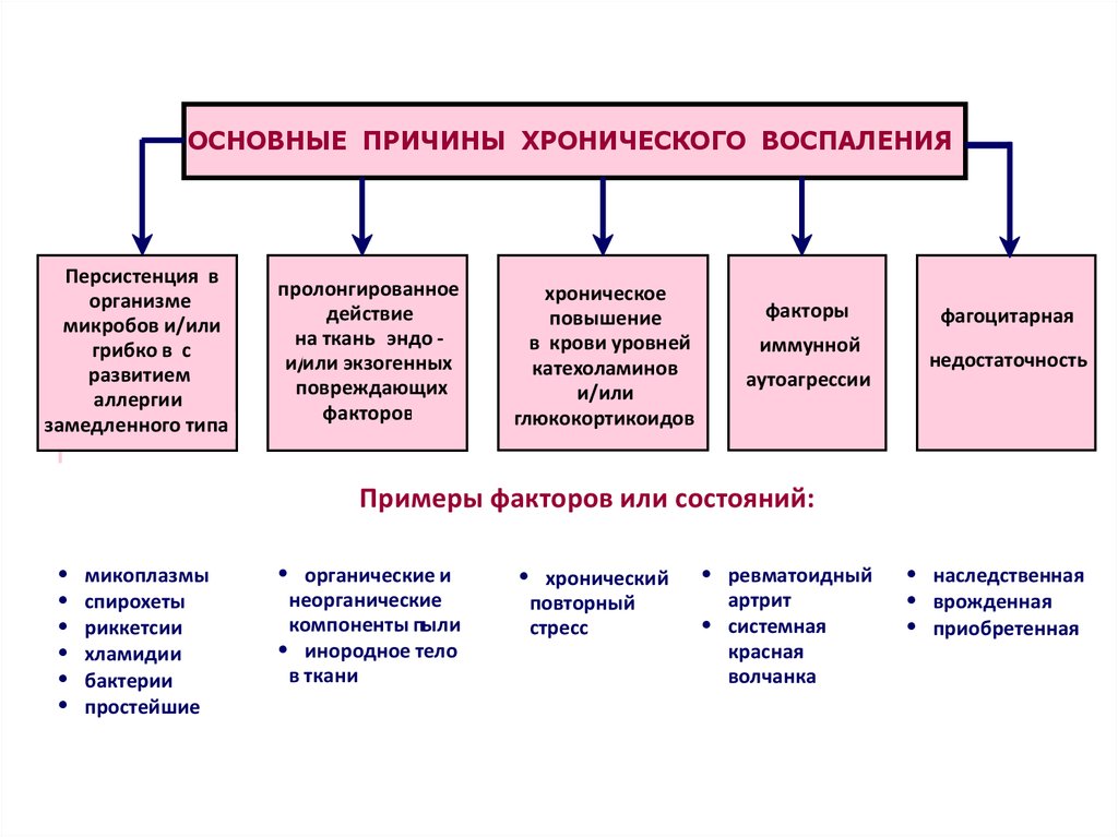 Воспаление презентация по патофизиологии