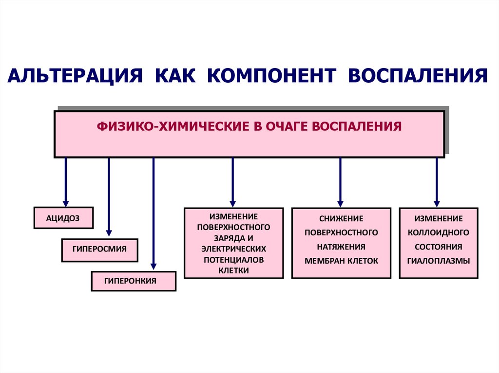 Реферат: Литература - Патофизиология (Воспаление)