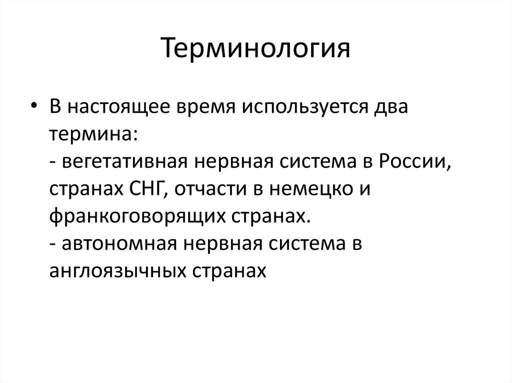 Терминология