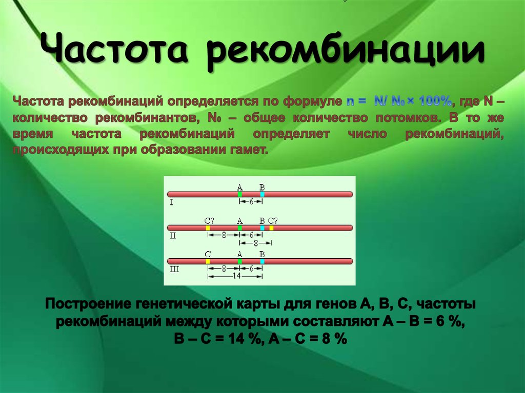 Количество групп сцепления равно. Формула расчета частоты рекомбинации. Частота рекомбинации генов. Частота рекомбинации генов формула. Формула расчета частоты рекомбинации генов.