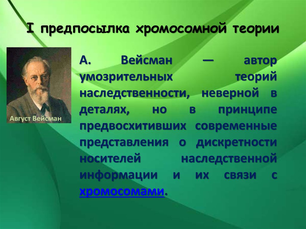 Открытие хромосомной теории. Август Вейсман вклад в генетику. Теория зародышевой плазмы Вейсмана. Теория наследственности Вейсмана. Хромосомная теория наследственности.