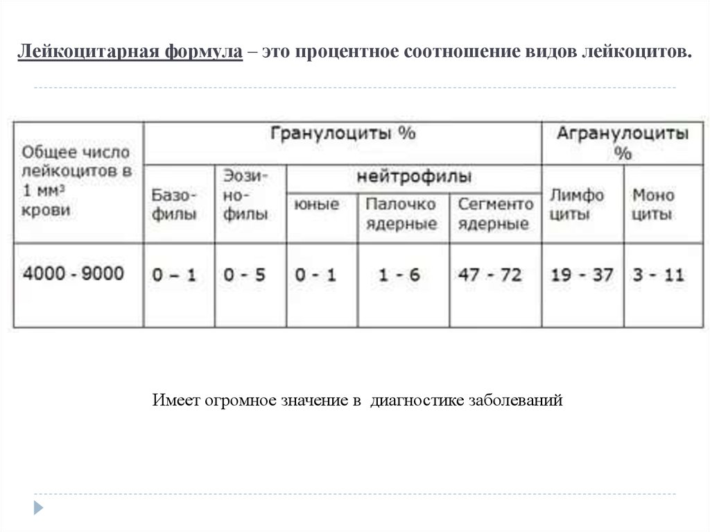 Лейкоцитарная формула фото