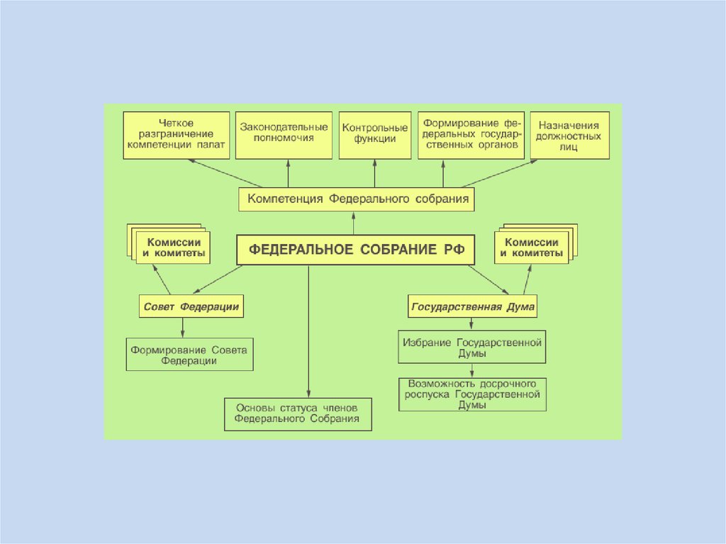 Структура федерального собрания российской федерации схема