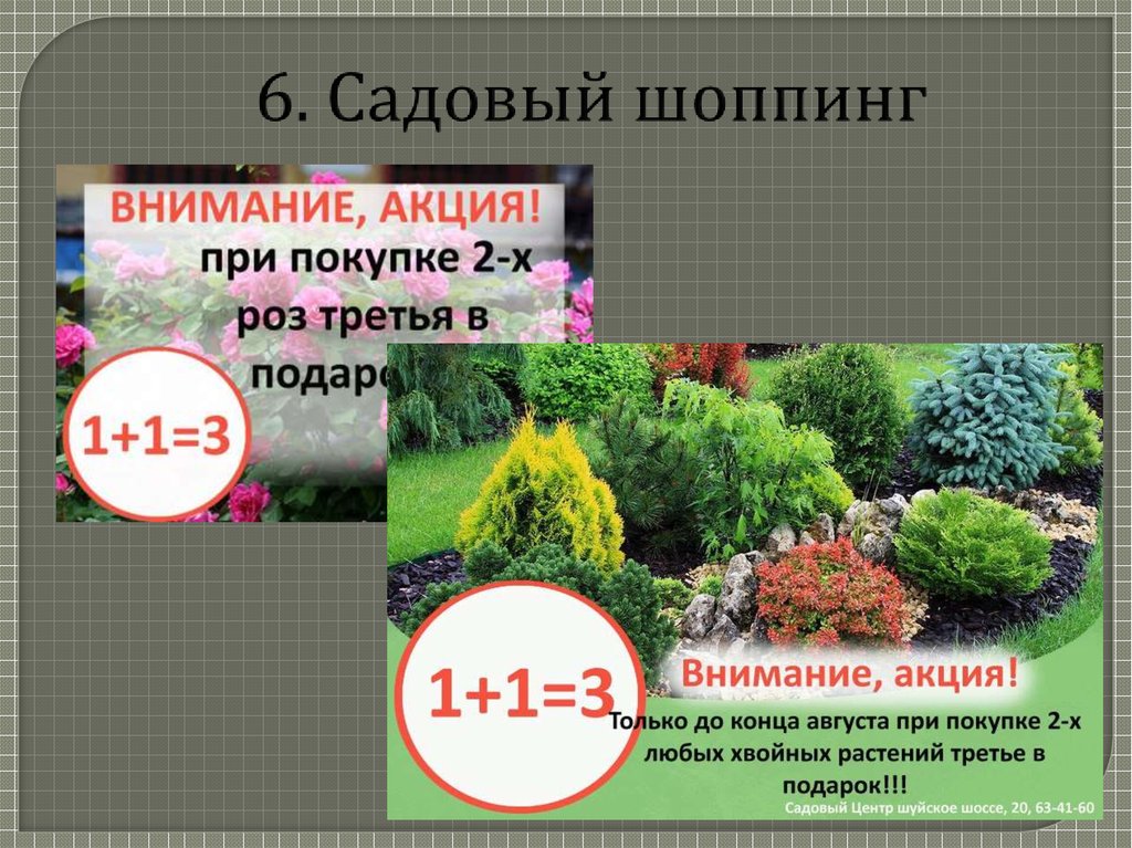 6. Садовый шоппинг