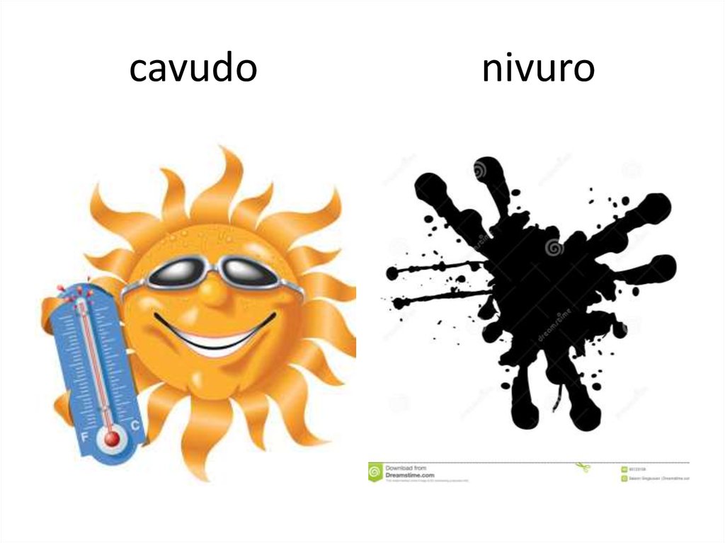 cavudo nivuro