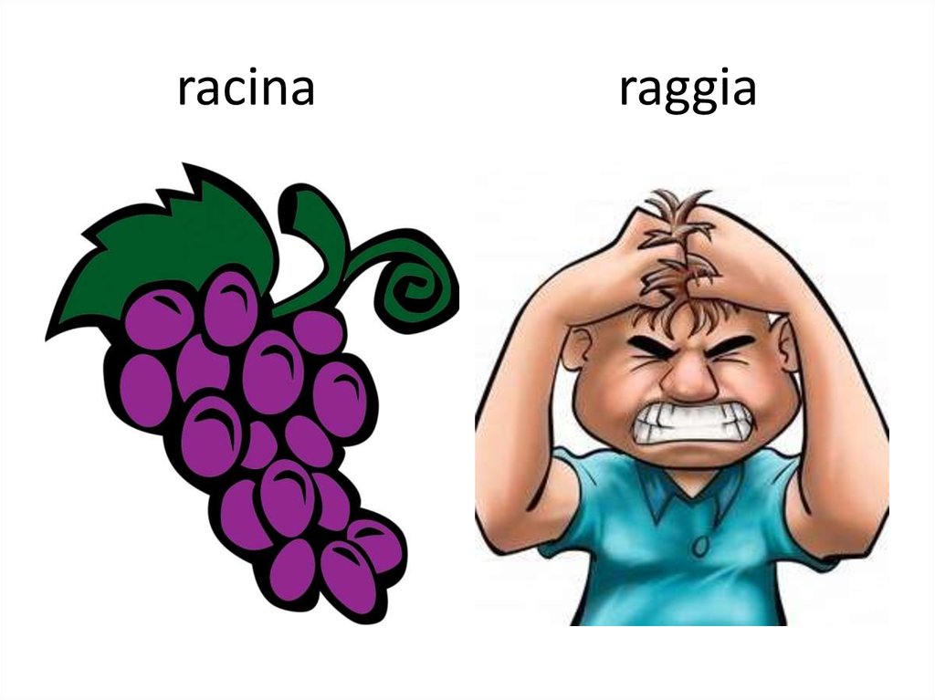 racina raggia