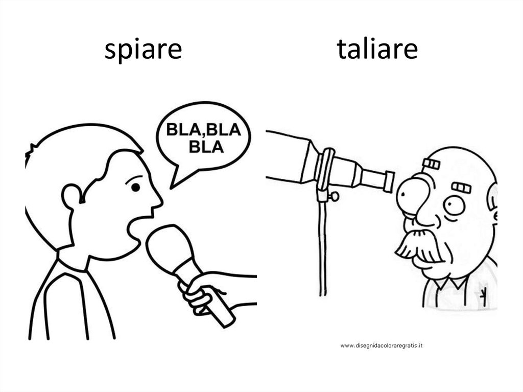 spiare taliare