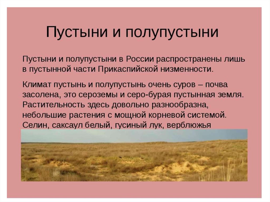 Полупустыни в россии занимают. Климатический пояс пустынь в России. Пустыни и полупустыни России. Природные зоны пустыни и полупустыни. Полупустыня природная зона.