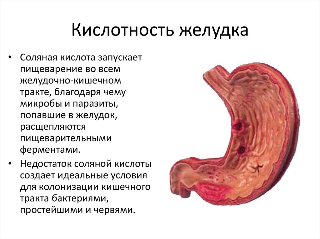 Кислотность желудка