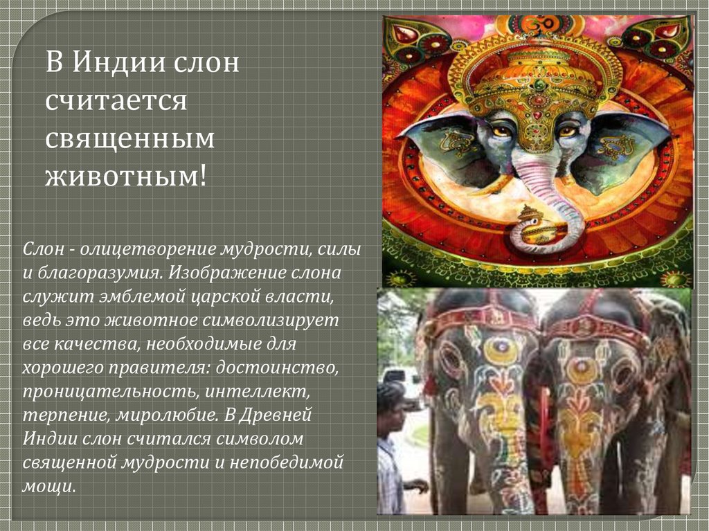 Символ слона значение. Священные животные древней Индии. Священные слоны в Индии. Священные животные слон. Древняя Индия слон.