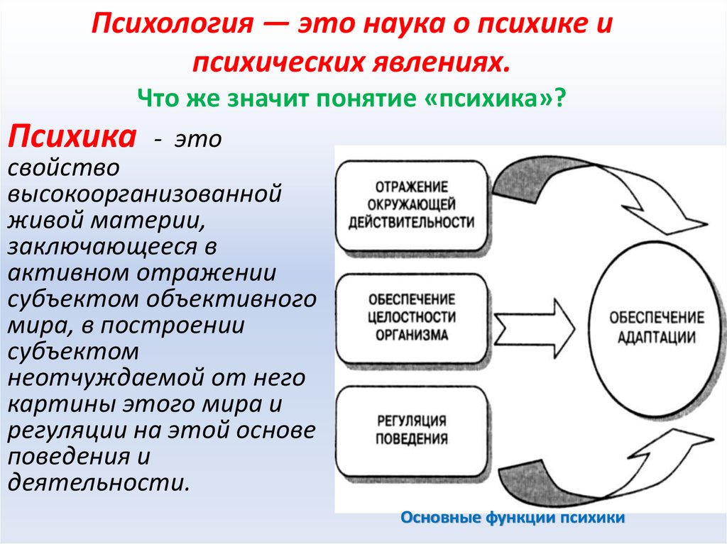 Презентация понятие о психике