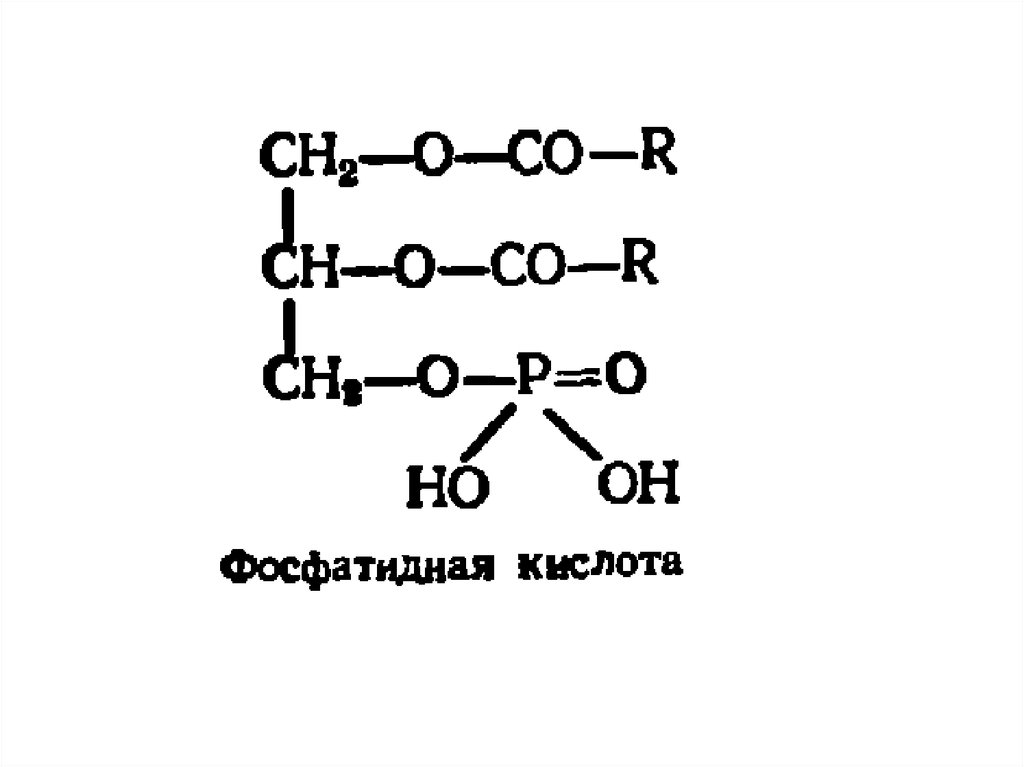 Простые липиды жиры. Структурные формулы сложных липидов. Строение сложных липидов. Структурная формула липидов. Липиды формулы и названия.