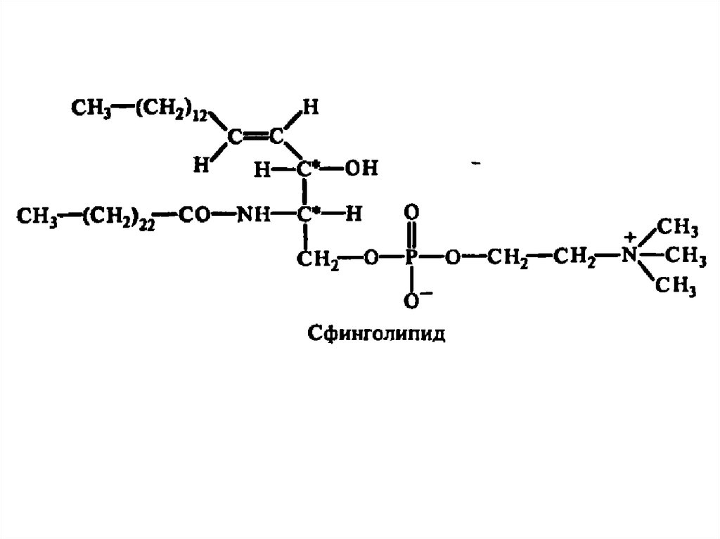 Структура глицерофосфатов и сфинголипидов. Структурная формула сфинголипидов. Сфинголипиды биохимия. Химическое строение сфинголипидов. Сфинголипиды общая структурная формула.