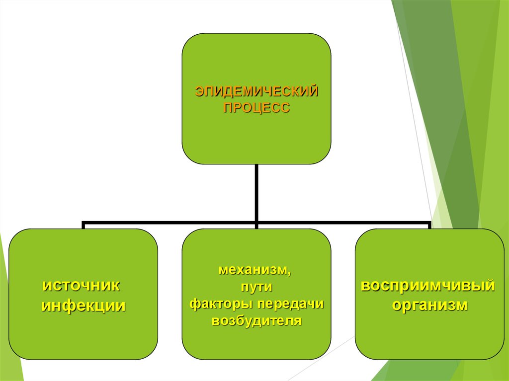 Механизм инфекционного процесса