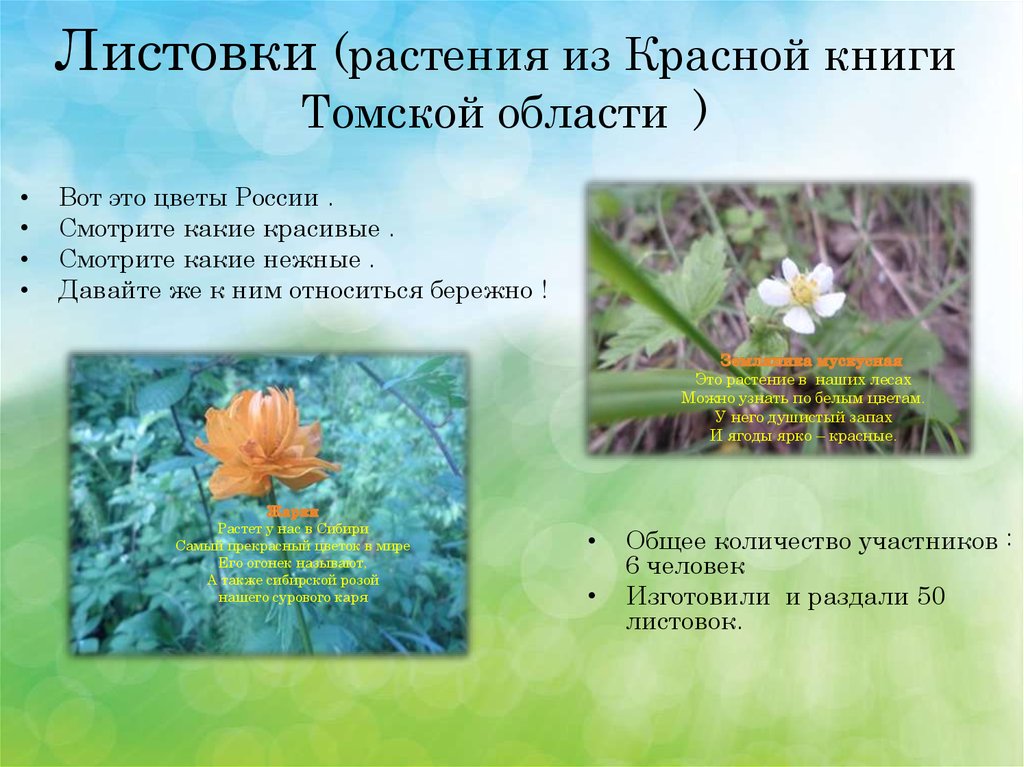 Листовки (растения из Красной книги Томской области )
