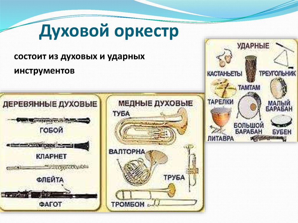 Оркестр состав инструментов. Какие инструменты входят в состав духового оркестра. Состав военного оркестра. Какие инструменты входят в духовой оркестр. Состав медных инструментов военного духового оркестра.