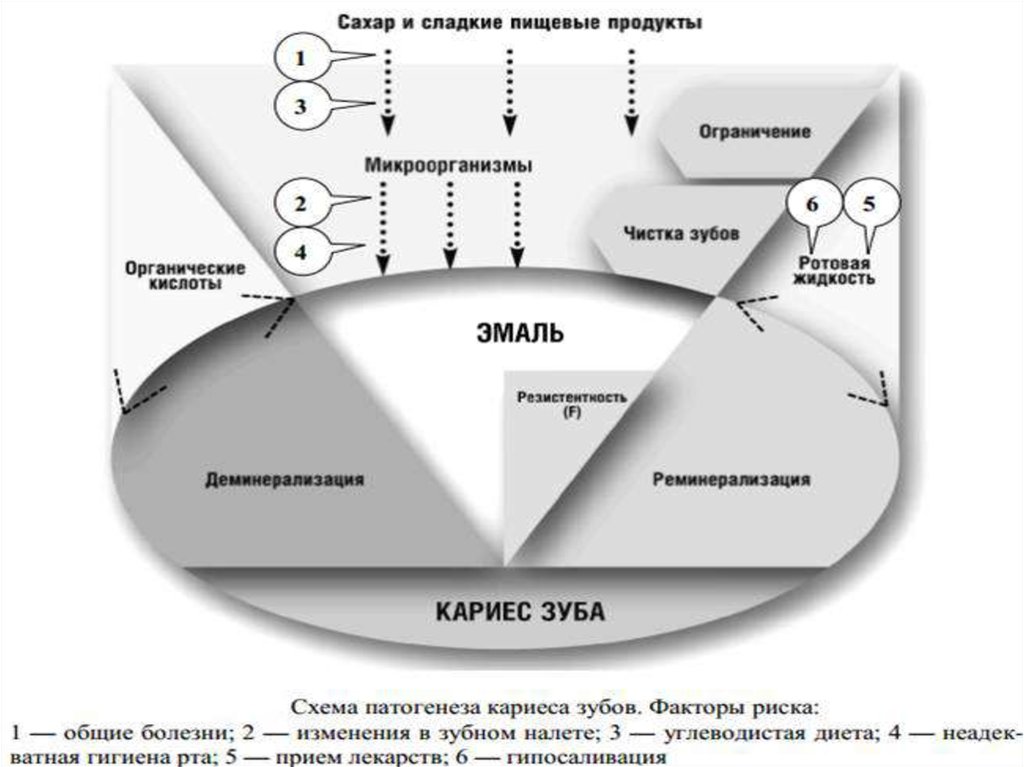 Патофизиология кариеса презентация