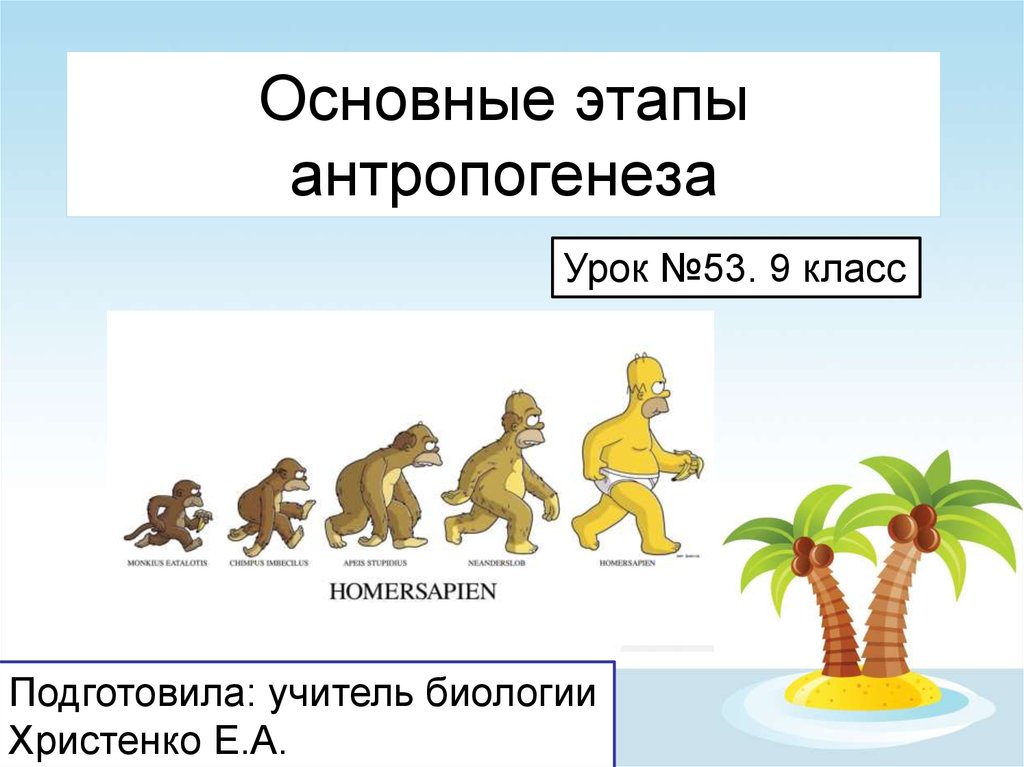 Презентация антропогенез расы