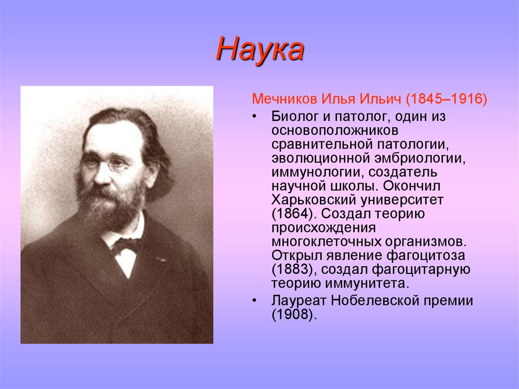 Что открыл мечников в биологии. Ильи Ильича Мечникова (1845—1916). Мечников основоположник. Мечников и.и. (1845-1916).