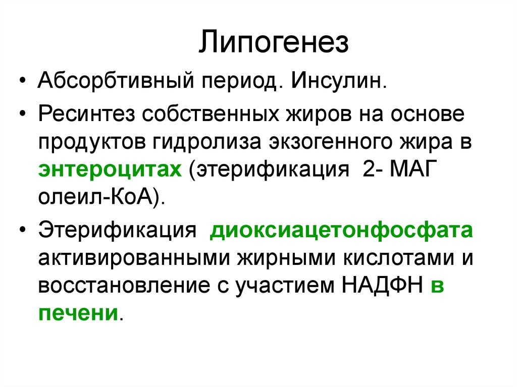 Липогенез. Ключевые ферменты липогенеза. Синтез жира липогенез. Липогенез биохимия. Инсулин липогенез.