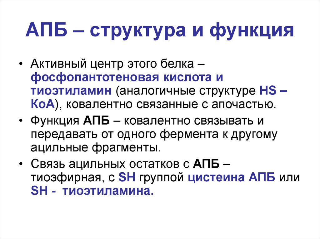 Центры белков. АПБ белок. КОА структура функции. Активный центр белка функция. Функция АПБ.