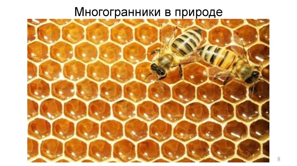 Многогранники в природе