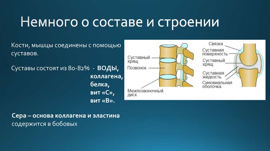 Немного о составе и строении