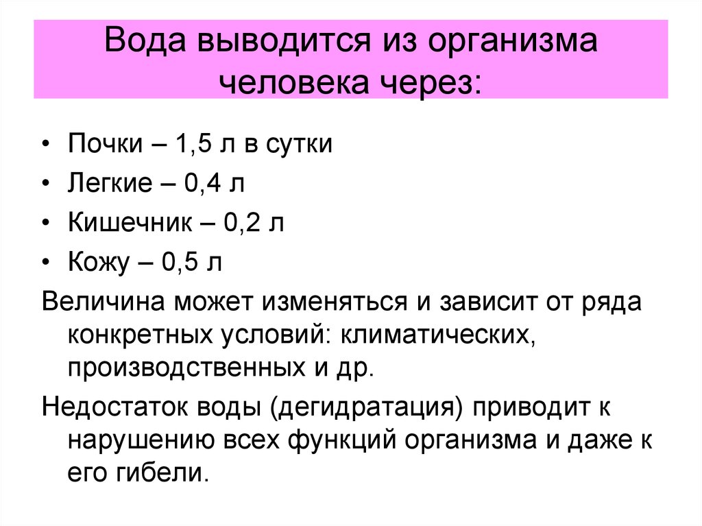 Выведение из организма. Выведение воды из организма. Вода выводится из организма:. Через что выводится вода из организма. Через сколько вода выходит из организма.