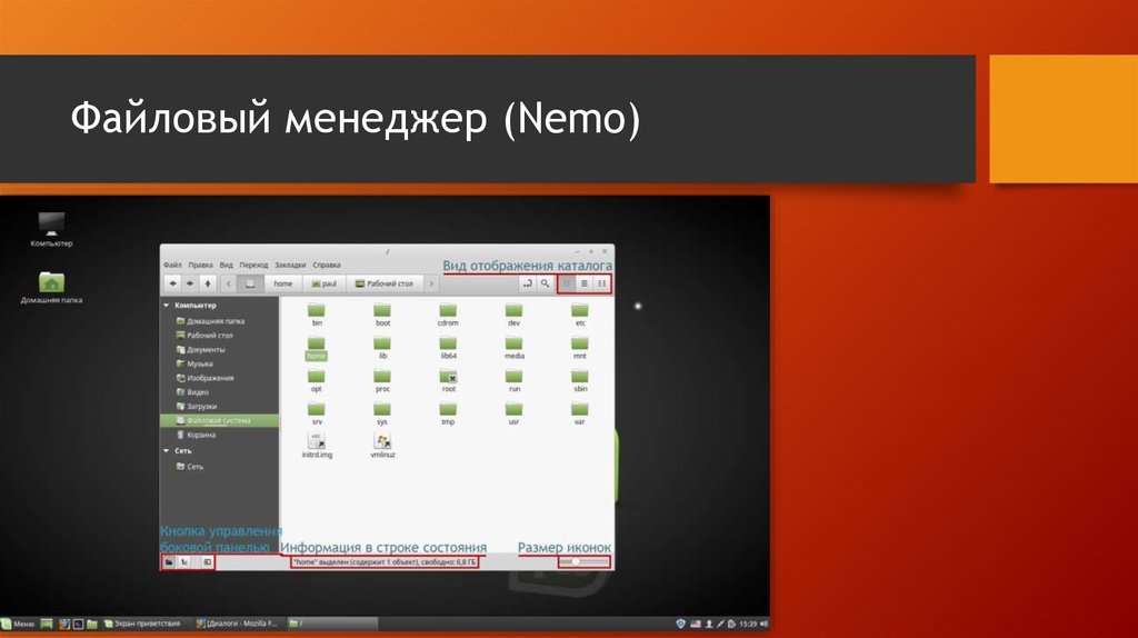 Файловый менеджер (Nemo)