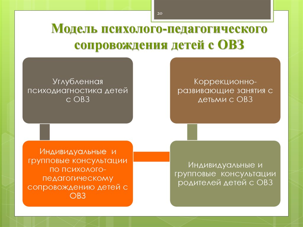 Проект организация психологической помощи психологического сопровождения лицам с овз