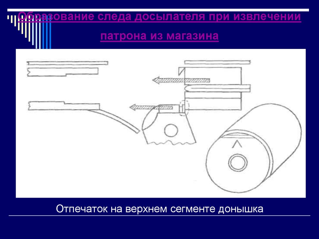 Образование следов на гильзе. Механизм образования следов на гильзе. Механизм образования следов на пуле и гильзе. След досылателя на гильзе. Следы досылателя при извлечении патрона из магазина.