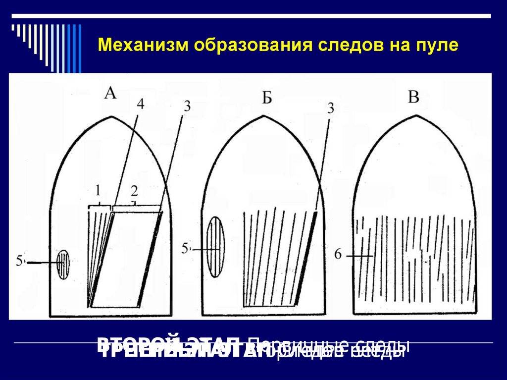 Механизм следов. Следы нарезов канала ствола на пуле первичные и вторичные. Следы огнестрельного оружия на стреляной пуле. Схематическая зарисовка следов на пуле и гильзе. Следы на пуле при разной степени износа ствола.