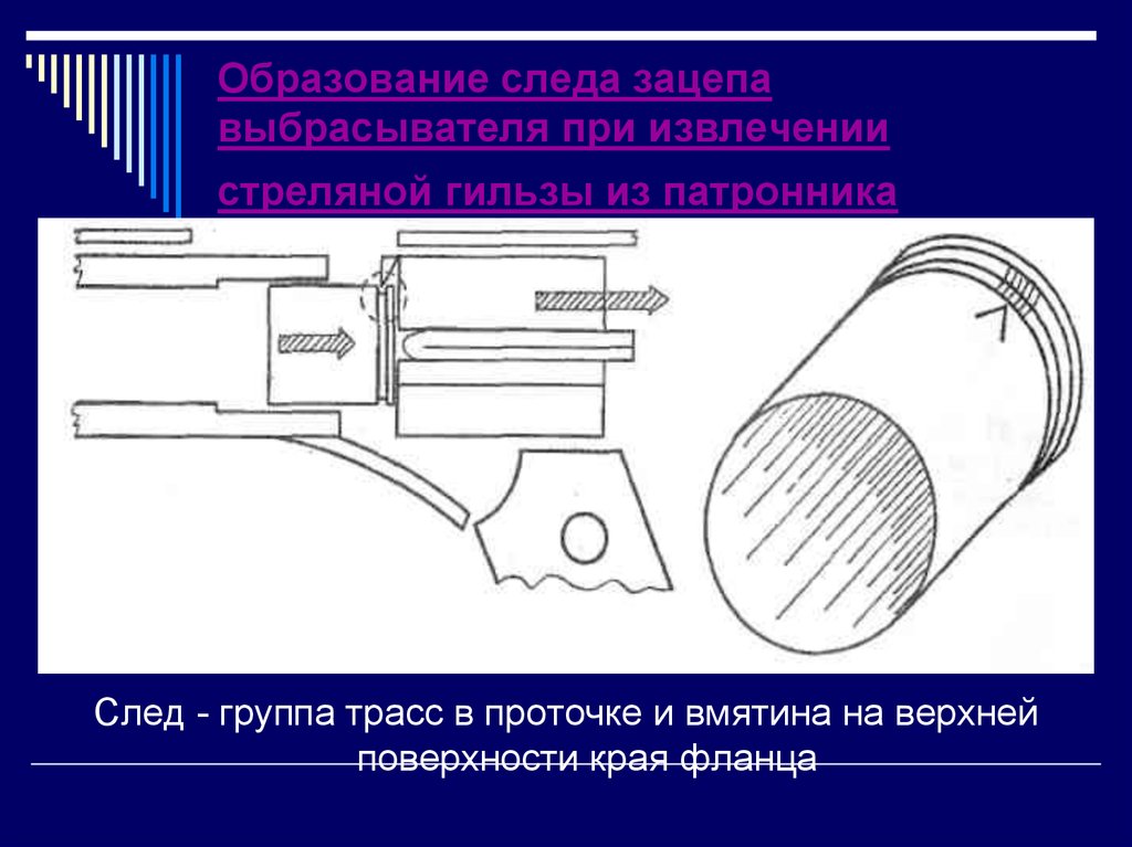 Образование следов. След зацепа выбрасывателя. Зацеп выбрасывателя на гильзе. След от зацепа выбрасывателя на гильзе. Следы от стреляной гильзы.