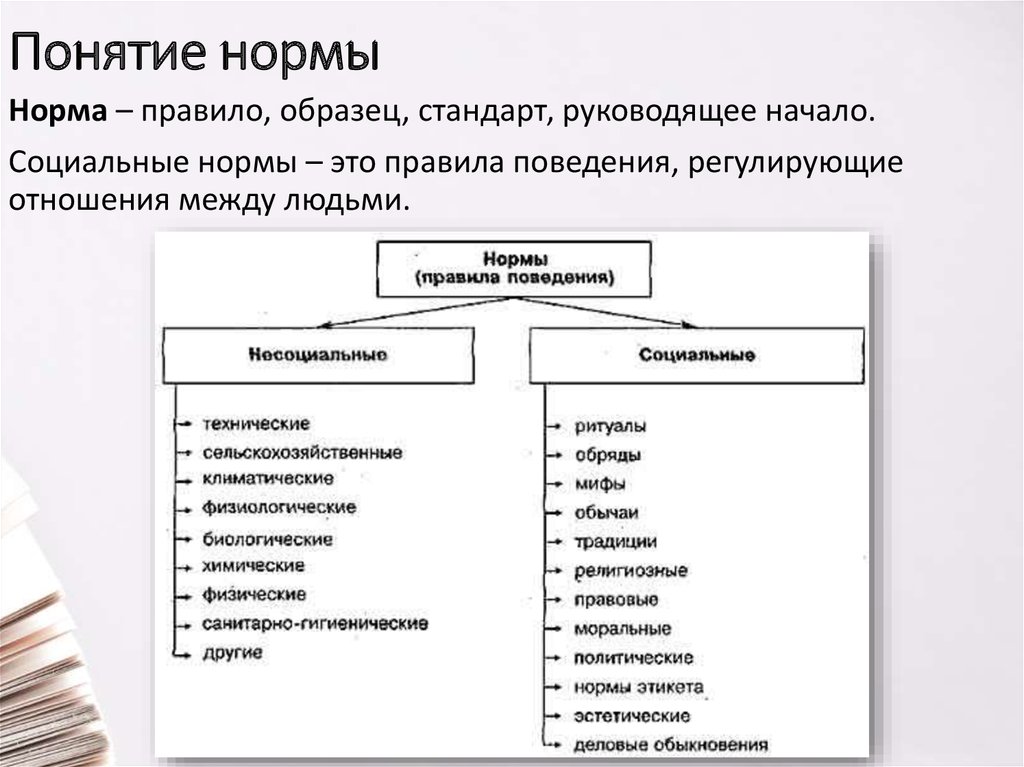 Установите соответствие виды норм