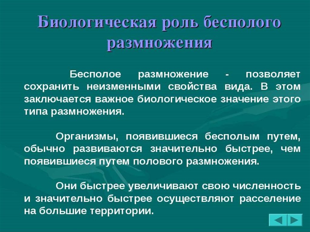 Биологическая роль размножения. Роль бесполого размножения. Биологическаяироль бесполового размнодения. Роль бесполого и полового размножения. Биологическая роль бесполого размножения.