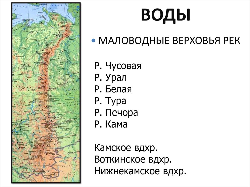 Природные зоны уральского экономического района