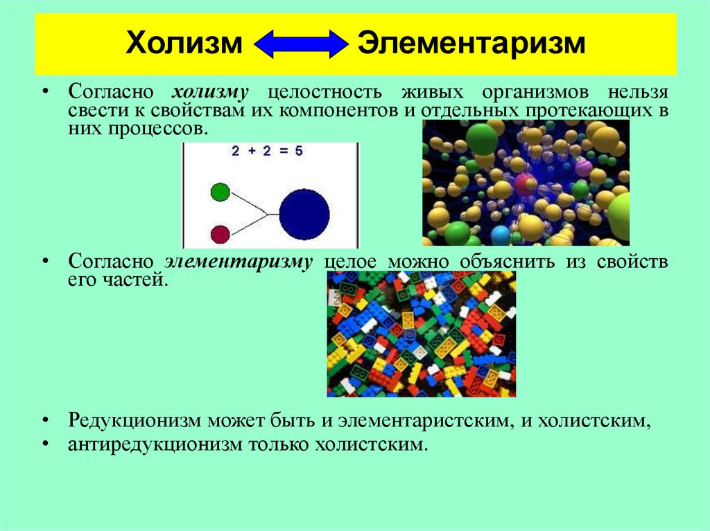 Холизм