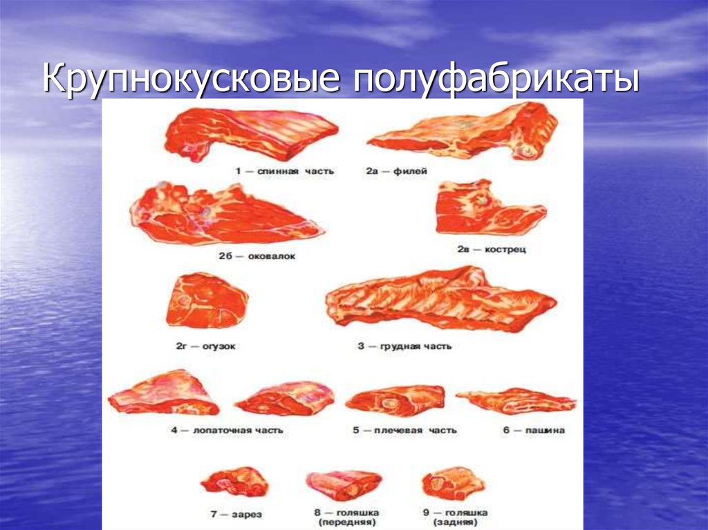 Механическая обработка мяса схема