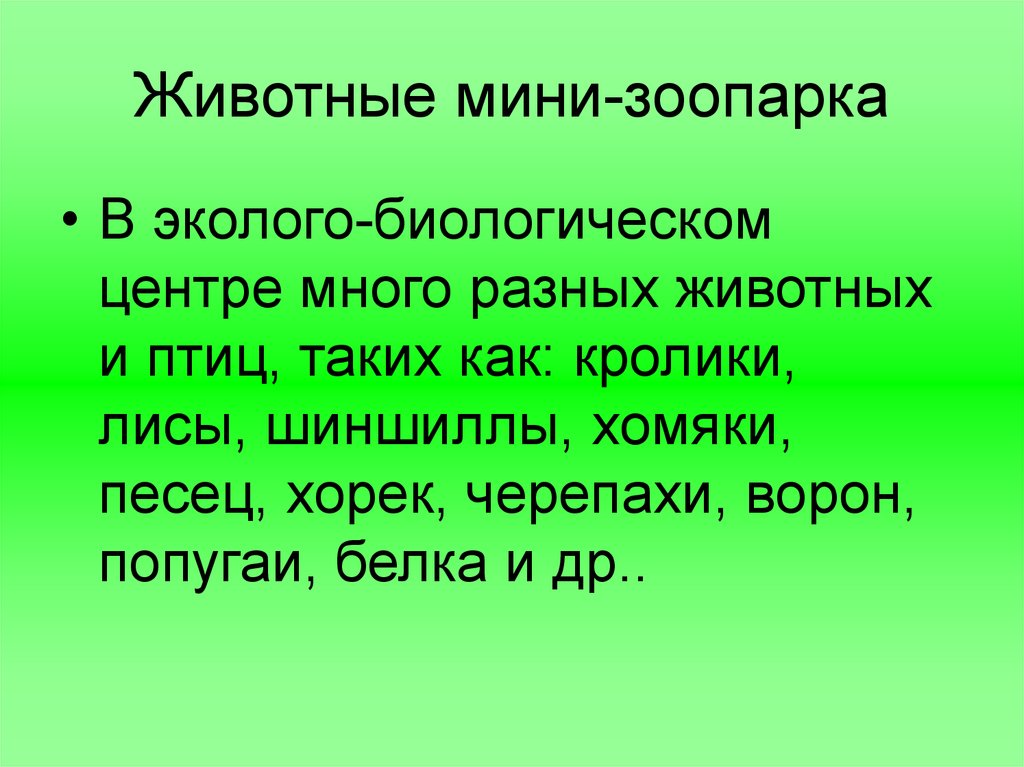 Животные мини-зоопарка