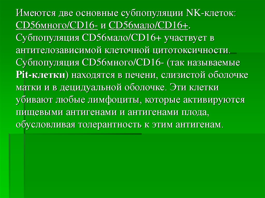 Презентация по иммунологии